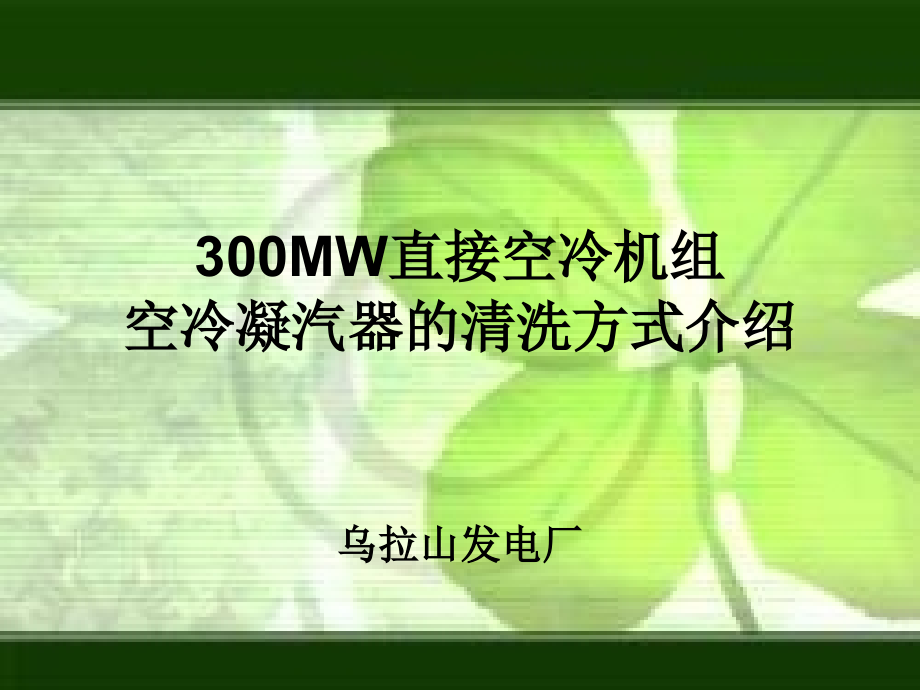 空冷凝汽器的冲洗.ppt_第1页