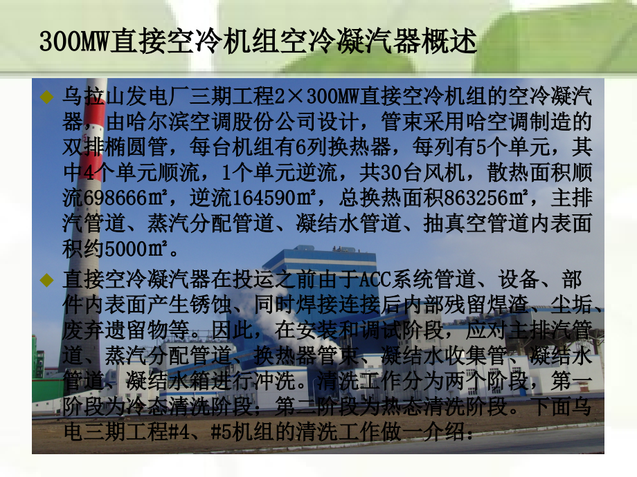 空冷凝汽器的冲洗.ppt_第2页