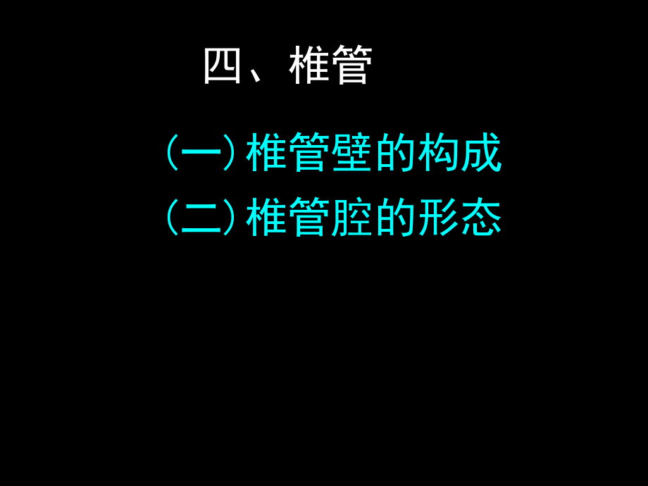 椎管内结构.ppt_第1页