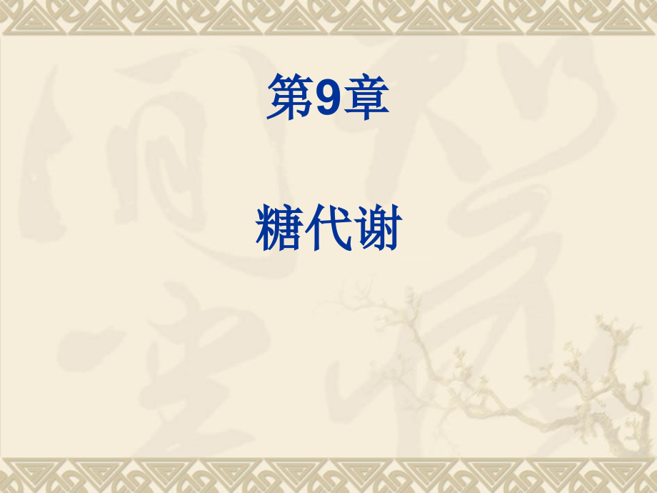 生物化学第9章-糖代谢.ppt_第1页