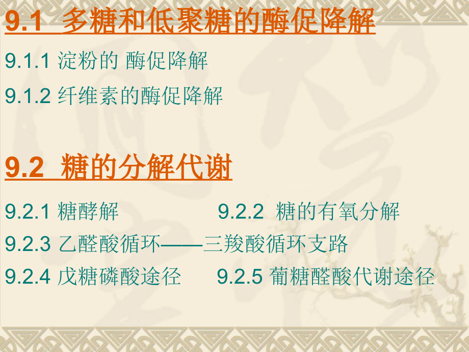 生物化学第9章-糖代谢.ppt_第2页