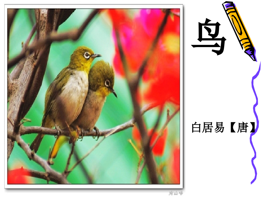 长春版语文三年上册《鸟》.ppt_第1页