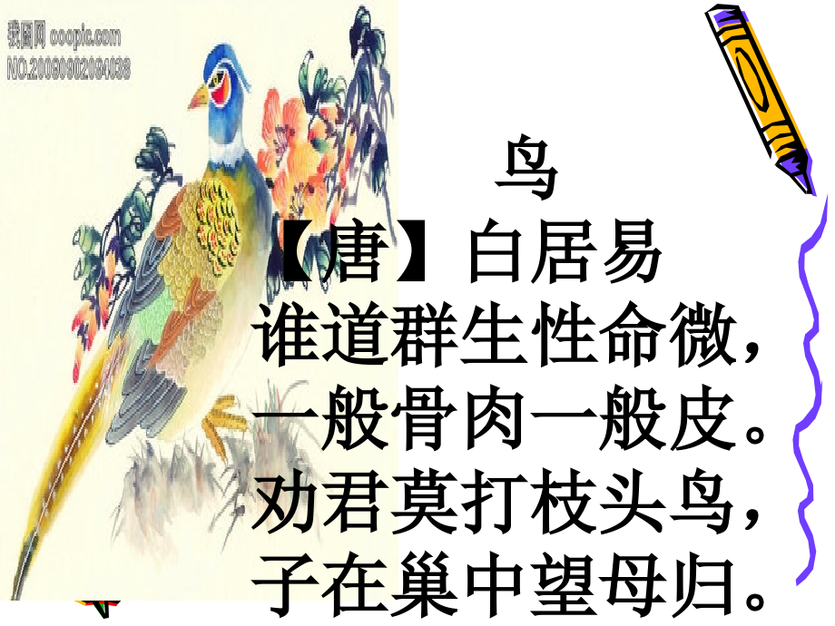 长春版语文三年上册《鸟》.ppt_第2页