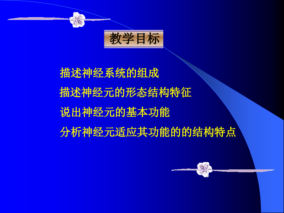 生物八年级人教版《神经系统与神经调节1》.ppt_第2页