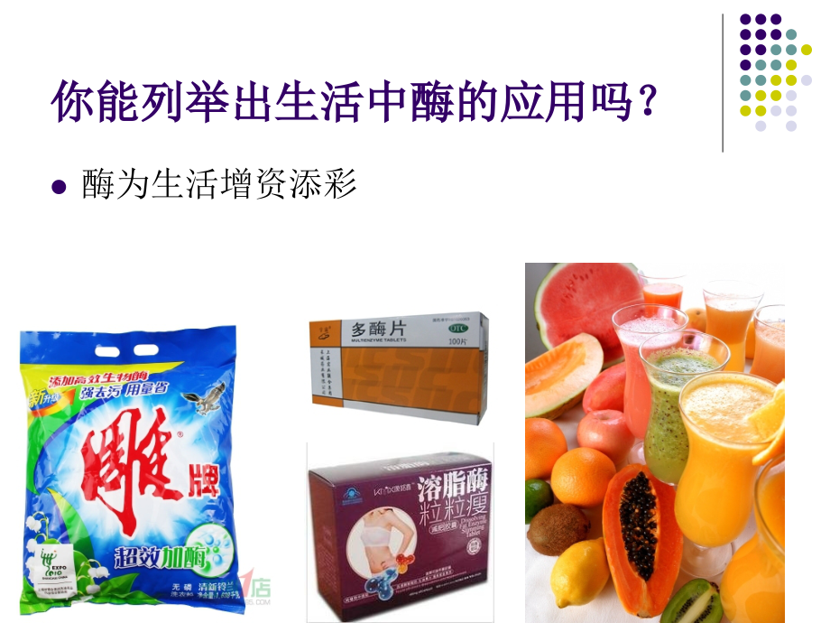 食品生物化学-3酶与维生素.ppt_第2页