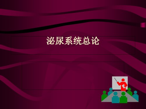 儿科学泌尿系统总论.ppt