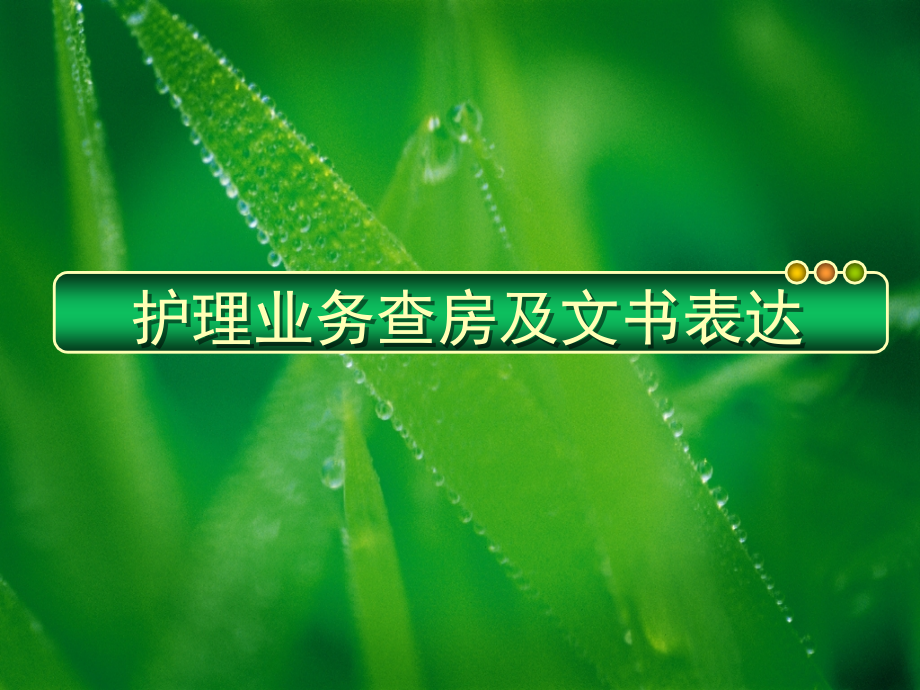 护理业务查房及文书表达.ppt_第1页