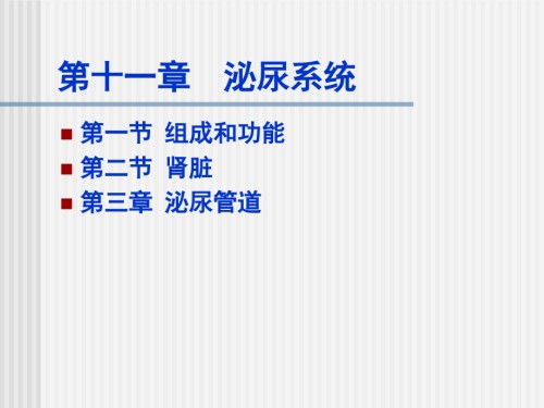 011-泌尿系统.ppt
