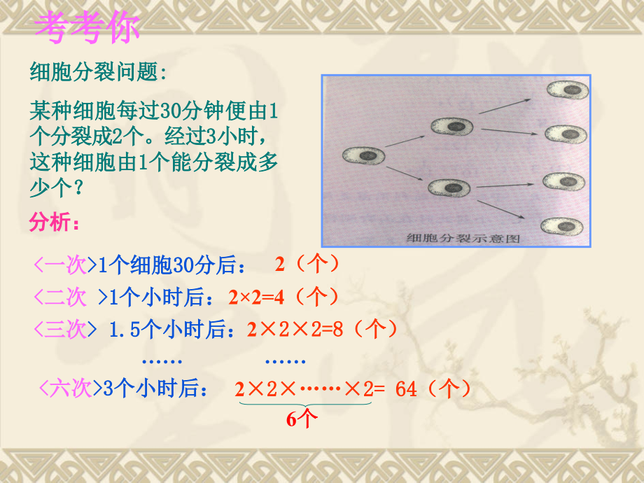 北师大版七年级数学上册15有理数的乘方.ppt_第2页