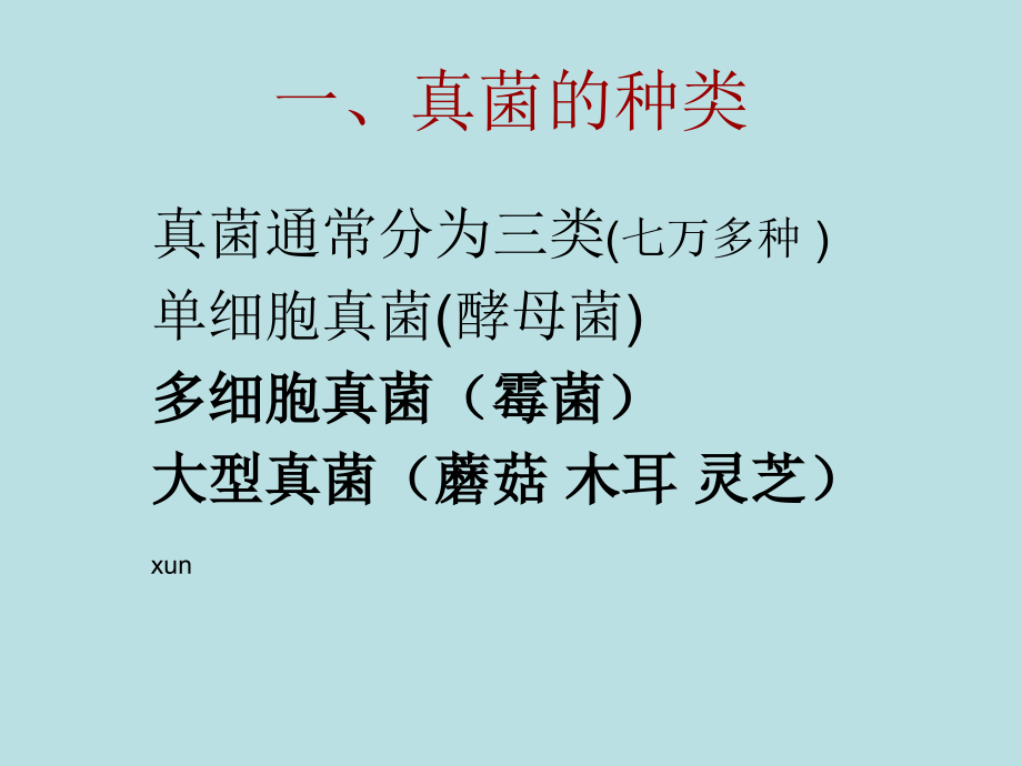 八年级《真菌》.ppt_第2页