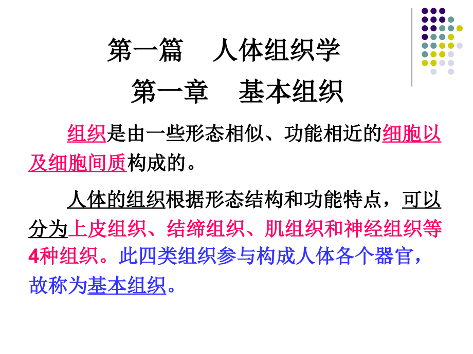 被覆上皮.ppt_第1页