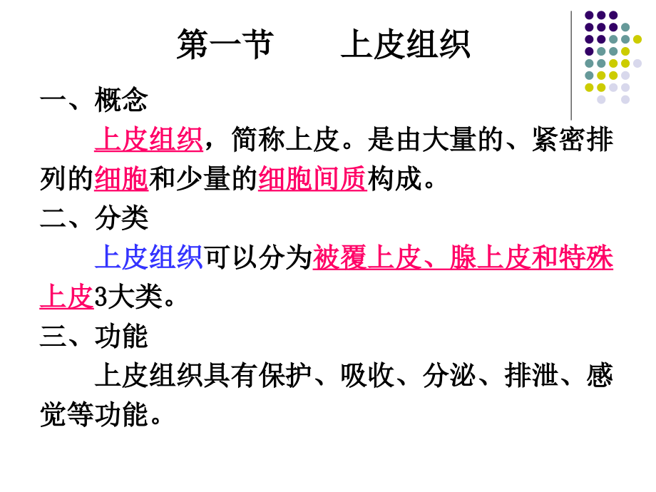 被覆上皮.ppt_第2页