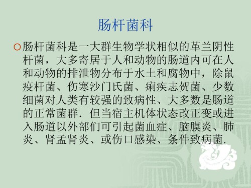 革兰氏阴性杆菌需氧和兼.ppt