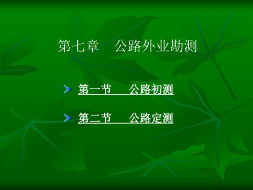 公路外业勘测.ppt