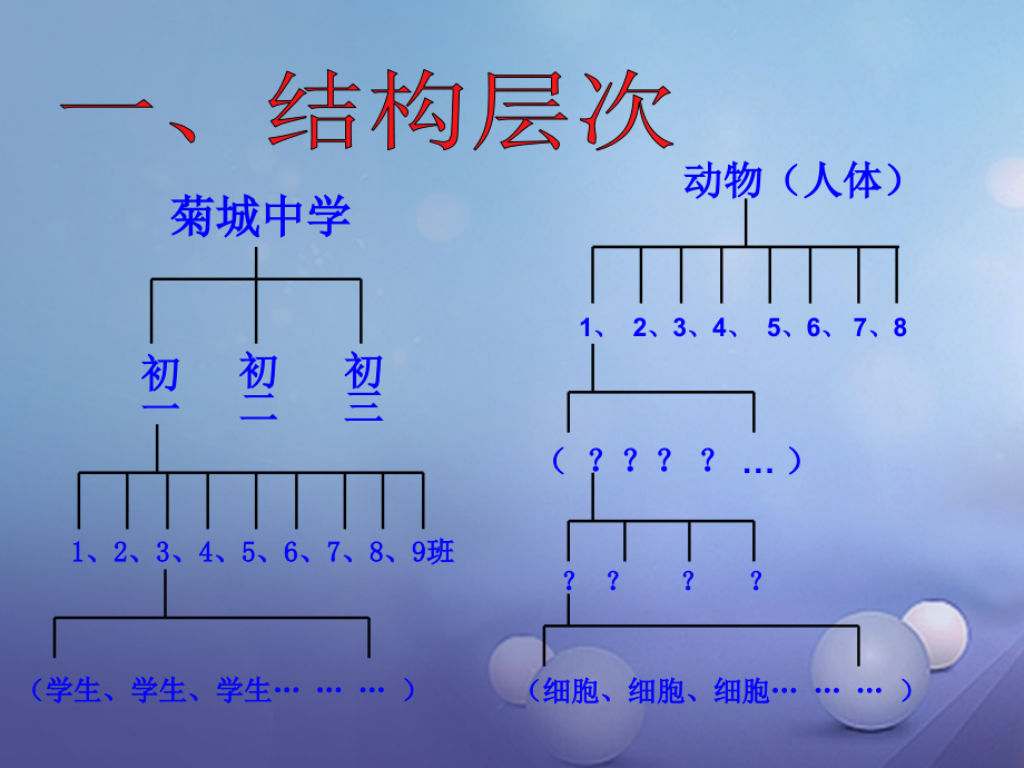 七年级生物上册222动物体的结构层次(新版).ppt_第2页