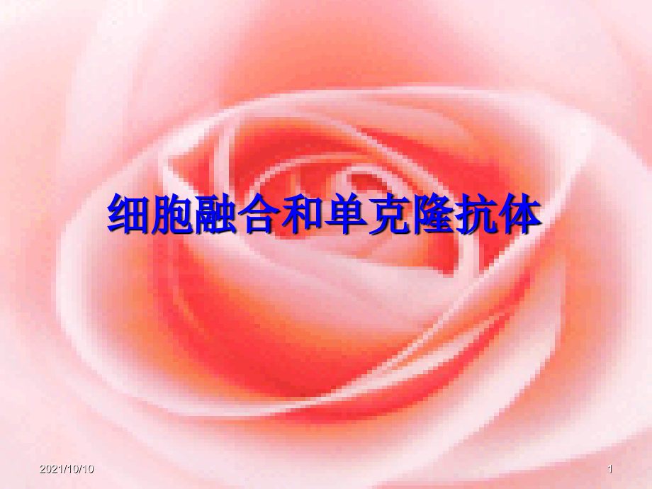 动物细胞融合和单克隆抗体(用).ppt_第1页