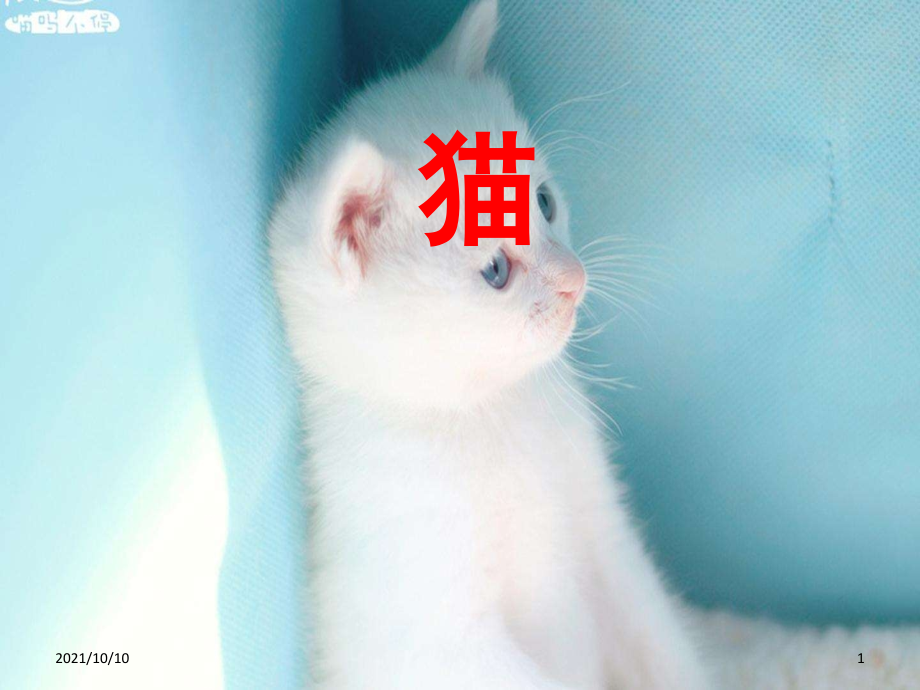 猫公开课获奖教学课件ppt.ppt_第1页