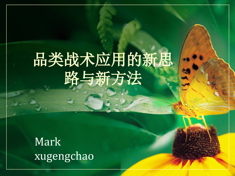 品类战术应用的新思路与新方法.ppt_第1页