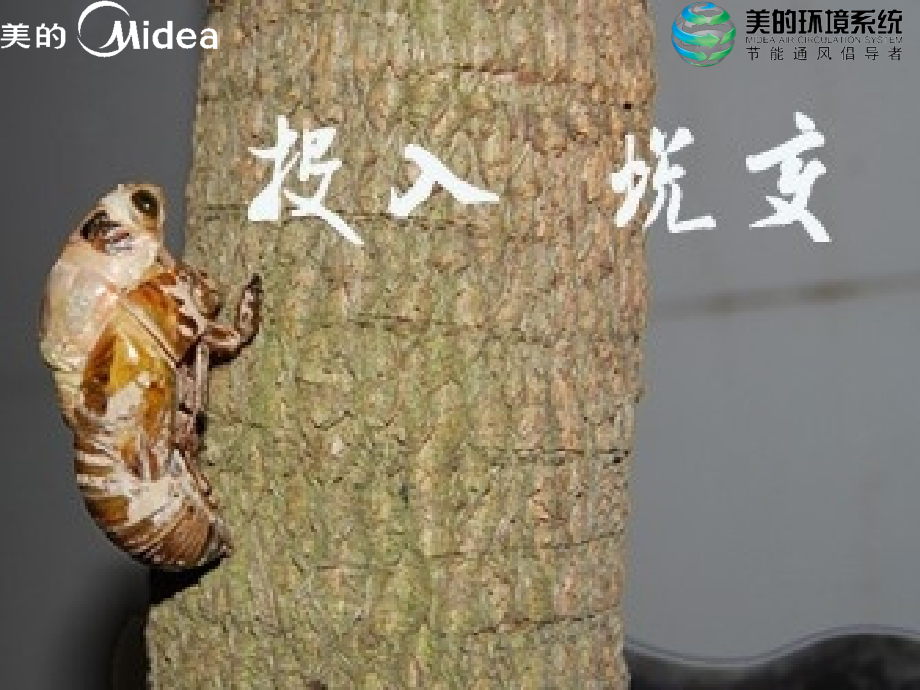 公司毕业生入职培训总结.ppt_第2页