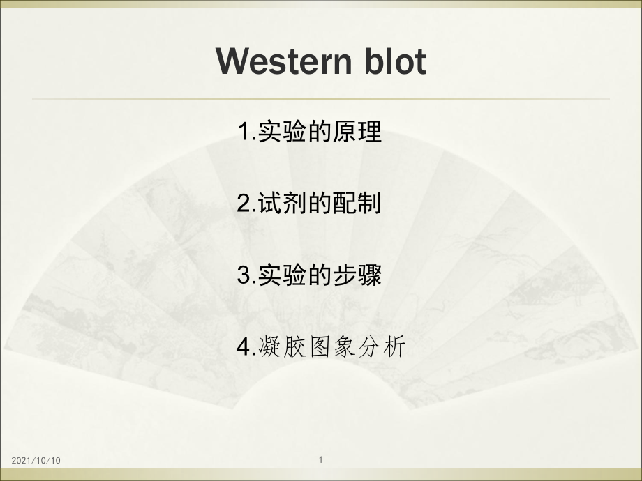western-blot总结前人的经验.ppt_第1页
