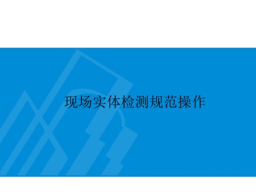 现场实体检测规范操作(保护层、回弹).ppt