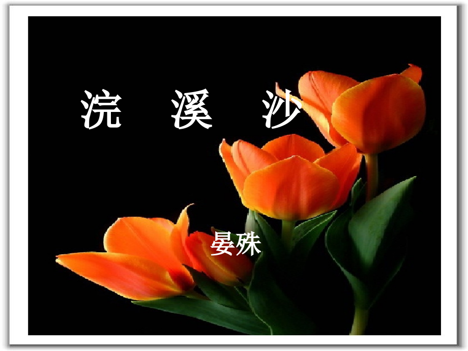 浣溪沙.ppt_第1页