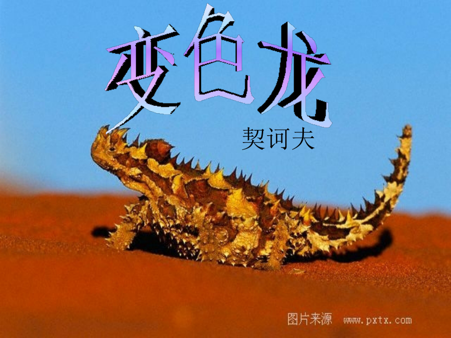 变色龙改ppt.ppt_第1页