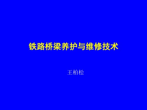 高速铁路桥梁养护与维修.ppt
