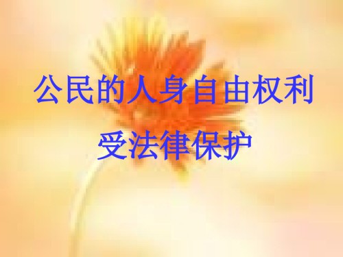 公民的人身自由权利.ppt