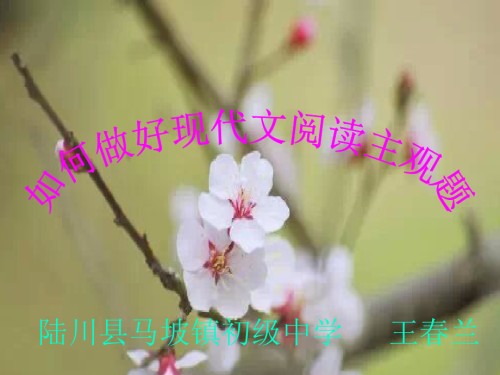 如何做好现代文主观题.ppt
