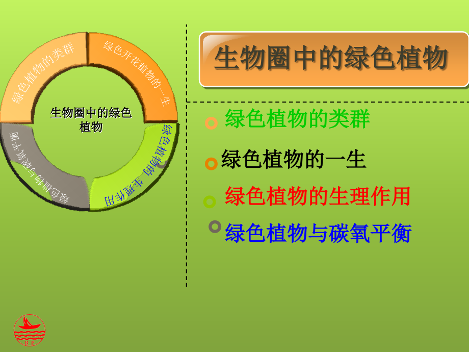 生物圈中的绿色植物---专题复习(定).ppt_第2页