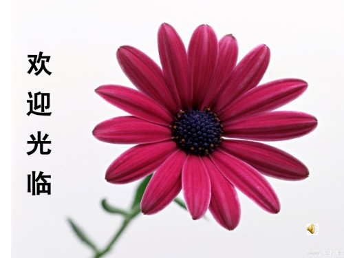 打造高考作文好的开头.ppt