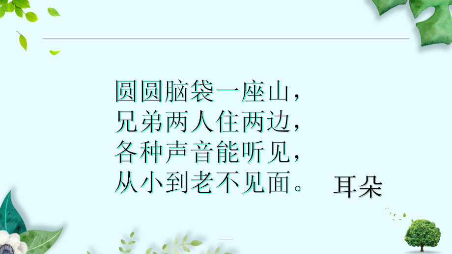 青岛版科学二年级下册第四单元《动物的耳朵》.ppt_第1页