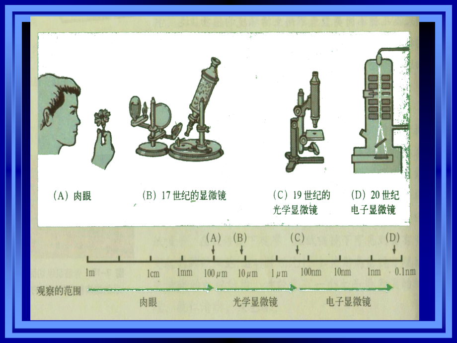 第四章纳米材料表征.ppt_第2页