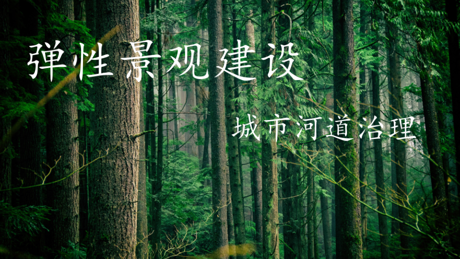 弹性景观.ppt_第1页