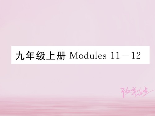 中考英语总复习-九上-Modules-11-12讲义-外研版.ppt