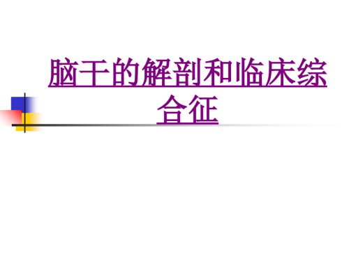 医学脑干的解剖和临床综合征.ppt