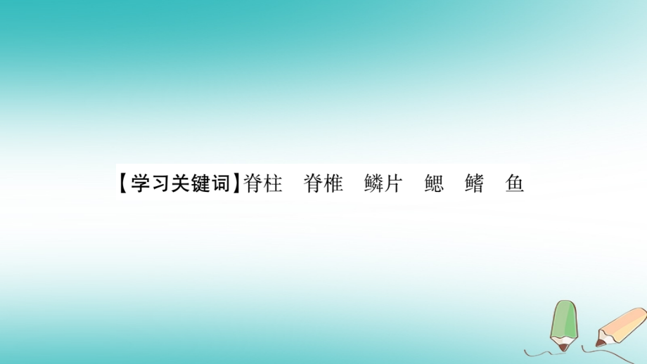 八年级生物上册第5单元第1章第4节鱼习题.ppt_第2页