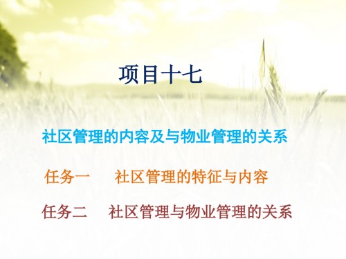 社区管理的内容及与物业管理的关系.ppt