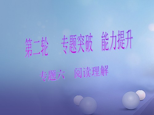 中考数学总复习第二轮专题突破能力提升专题六阅读理解.ppt