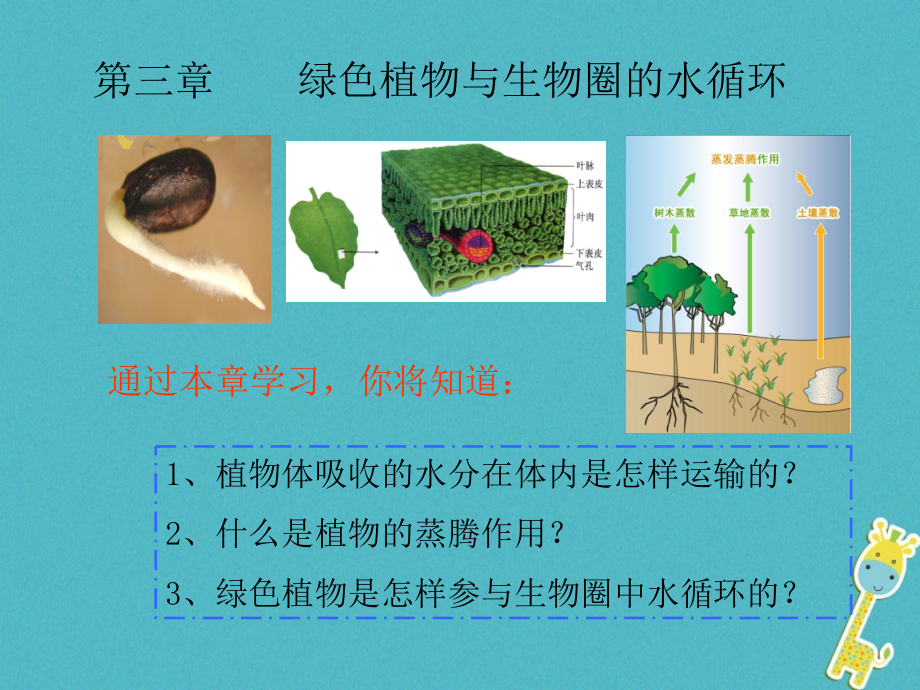 陕西省石泉县七年级生物上册-3.3-绿色植物与生物圈的水循环讲义-(新版).ppt_第1页