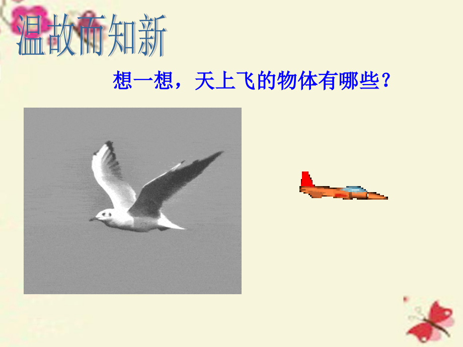 四年级科学下册7.3飞行的秘密课件大象版.ppt_第2页