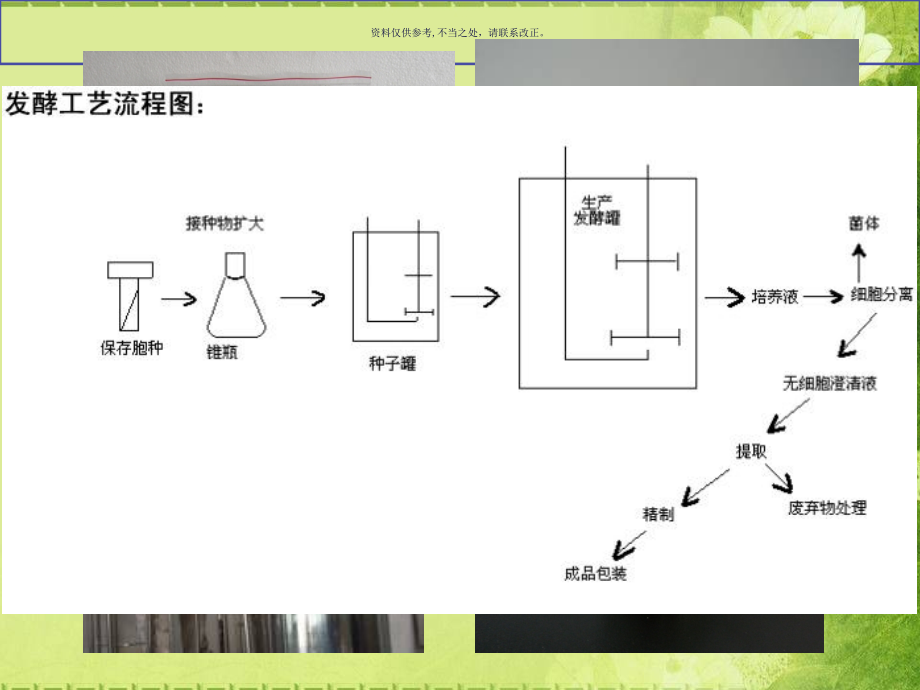 微生物链霉菌及其在生产中的应用.ppt_第2页