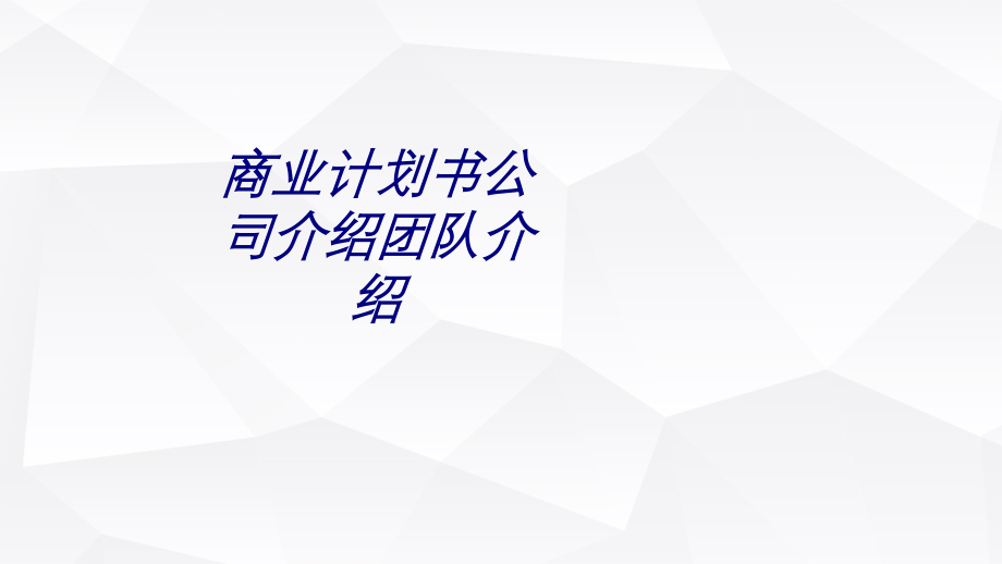 商业计划书公司介绍团队介绍.ppt_第1页
