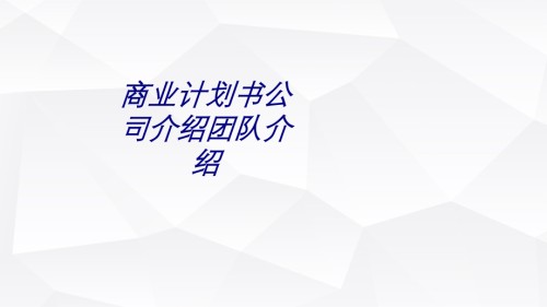 商业计划书公司介绍团队介绍.ppt