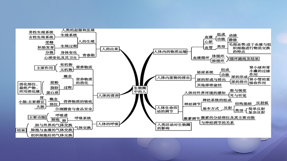 中考生物考前专题知识整合专题四生物圈中的人.ppt_第2页