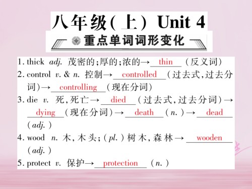 中考英语总复习-八上-Unit-4讲义-仁爱版.ppt