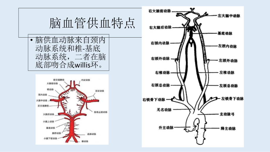 医学大脑中动脉解剖和临床.ppt_第2页