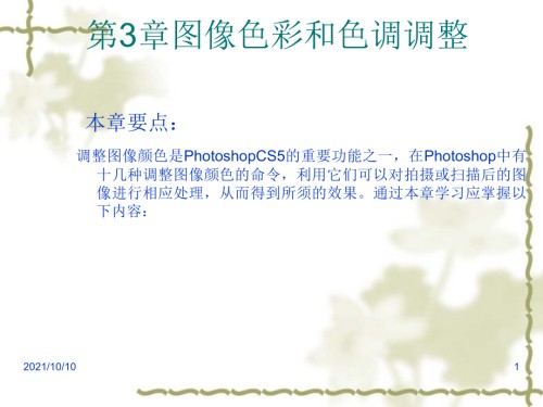 PS-图像色彩和色调调整.ppt