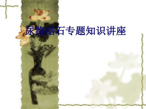 医学尿路结石专题知识讲座专题.ppt